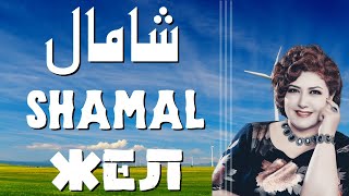 Shamal - Dilbar Ababekri | شامال | Uyghur Naxsha | біздің ән | Уйгурская песня | Uyghur Song