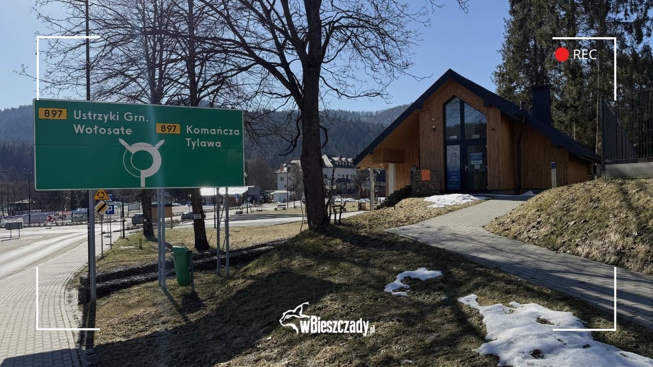 Cisna w słoneczny dzień