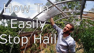 Brilliant Hail Protection For Your Garden!
