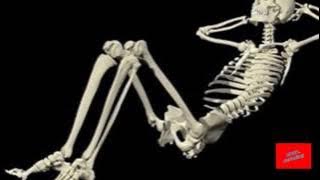 20 lucruri ciudate si interesante de stiut