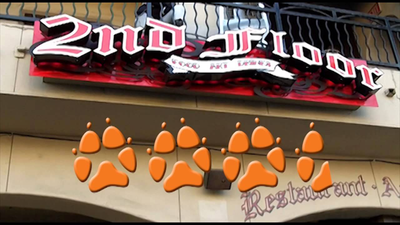 2nd-floor-huntington-beach-dog-friendly-restaurant-youtube