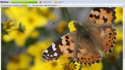 Photoshop Tutorial: Lomography Technique