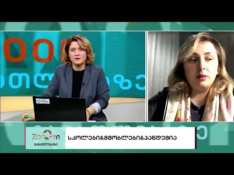 სკოლები. მშობლები. პამდემია - zoom - განათლება 11.02.2022