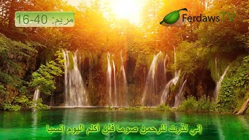 محمد اللحيدان - تلاوة من سورة مريم