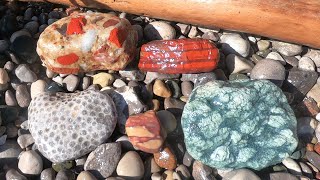 First Rock Hunt of the Season on My Favorite Beach