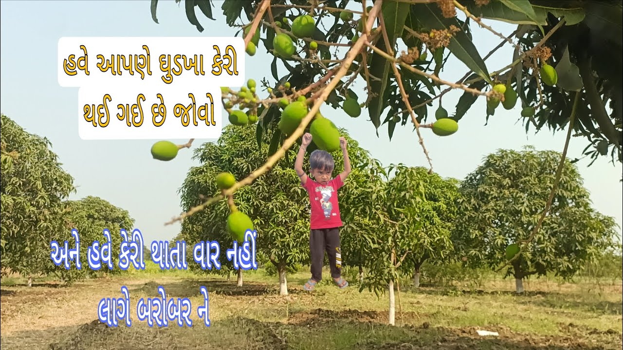 ઘોડખા કેરી લાગે  🍋#trending #gujarati vlogs#vairalvideo #viral #vlog 