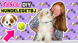 Tester Diy hundelegetøj min hund!! Min fødselsdag! //Emmes krea-verden// - YouTube