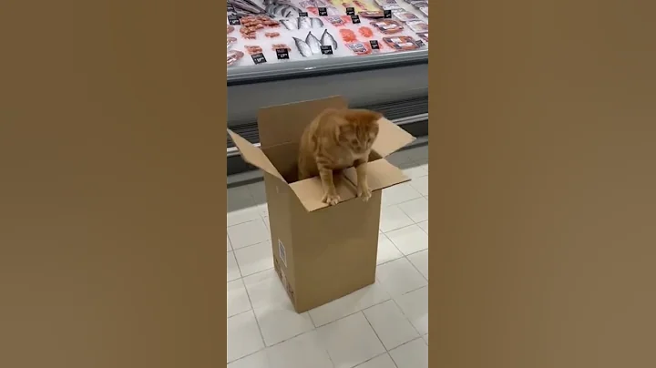 Heist Completed: One Fish, Zero Witnesses Silent Splash Success #FishingLife #CatchOfTheDay #Nature