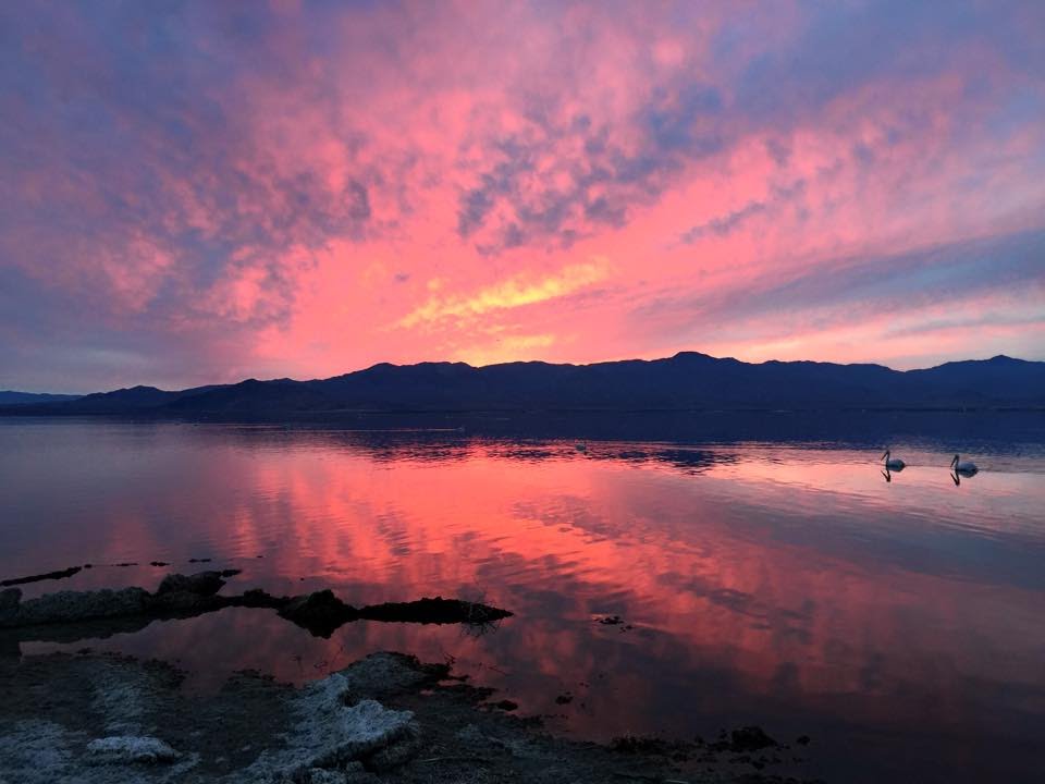 The Salton Sea (not a place to eat at) Tastemade App video by Sean