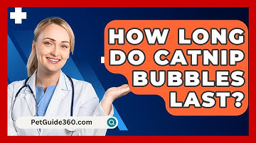 How Long Do Catnip Bubbles Last? - PetGuide360.com