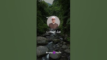 تلاوة تُبكي العيون وتشرح الصدور.. خشوع نادر بصوت محمد أحمد حسن