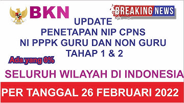🔴LIVE PENGUMUMAN PENETAPAN NI PPPK DAN NIP CPNS