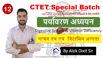 Environment,पर्यावरण अध्ययन Digestive System पाचन तंत्र एवं विटामिन अल्पता से रोग  CTET/UPTET ||C-12