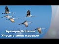 Аркадий Кобяков   Унесите меня журавли