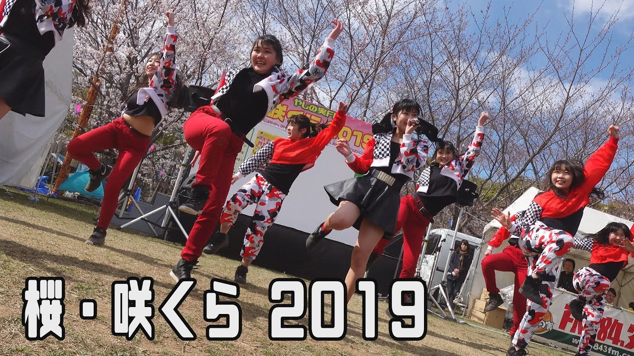 ええじゃないか豊橋伝播隊DOEE☆桜・咲くら2019