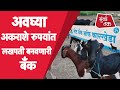 Goat Bank: Vidarbha मधील शेतकऱ्यांना लखपती बनवणारी बँक l Joint Business शेतकऱ्यांना मदत करतेय