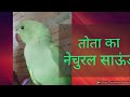 parrot ka natural sound .....तोता का बोलने का आवाज जरूर सुने इसे सुनते ही आपका तोता बोलेगा