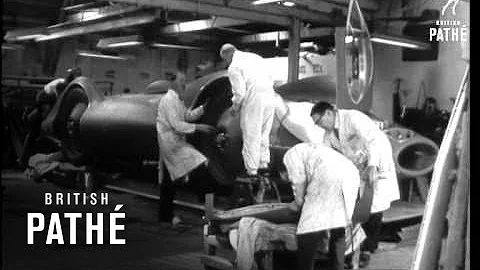 The New "Bluebird"  (1960)