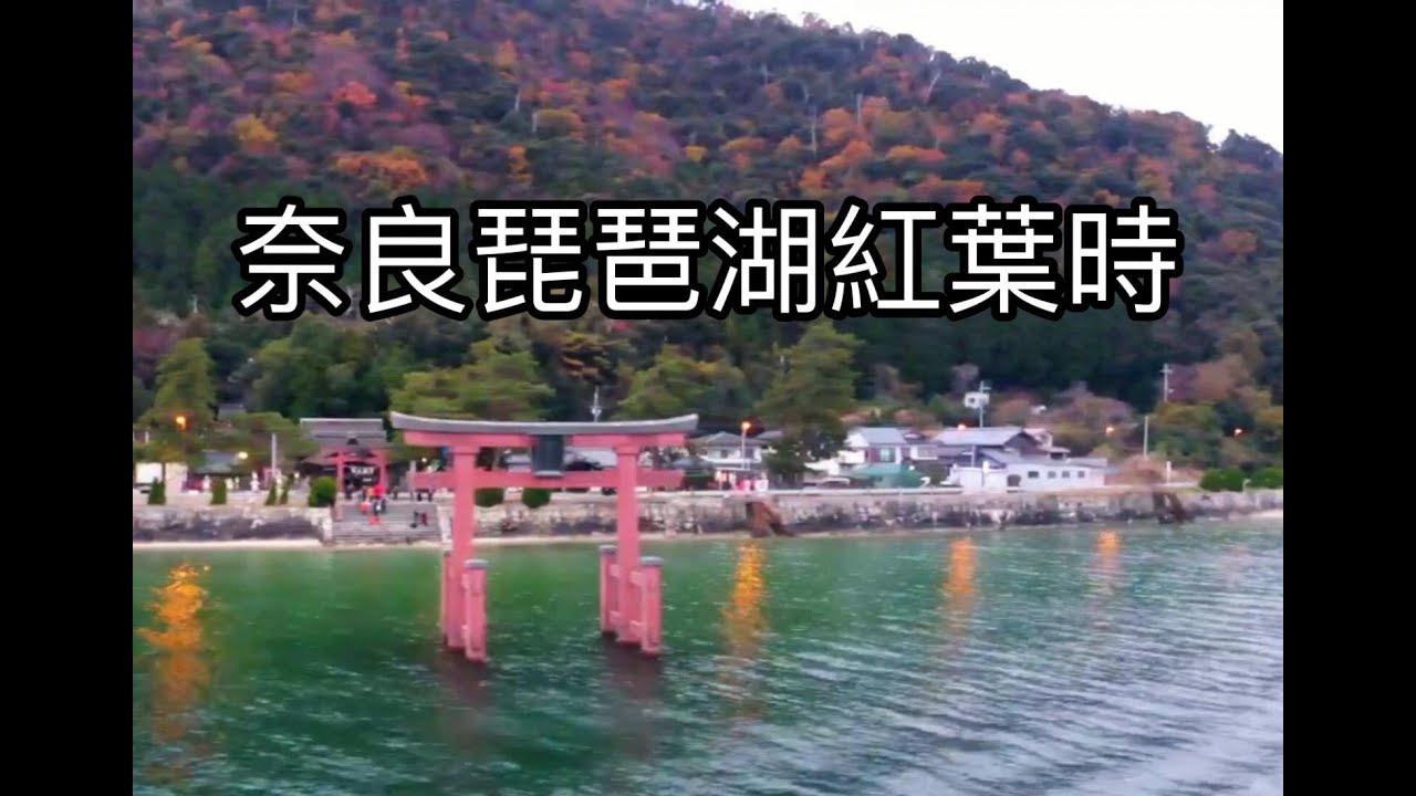 奈良琵琶湖楓葉航拍 京都奈良紅葉米芝連項明生團day 5 Youtube
