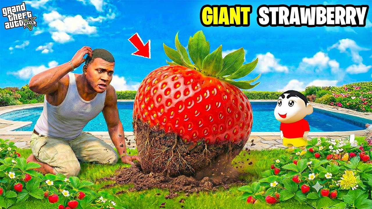 Franklin & Shinchan Finally Find GIANT STRAWBERRY | Most Shocking Life Story