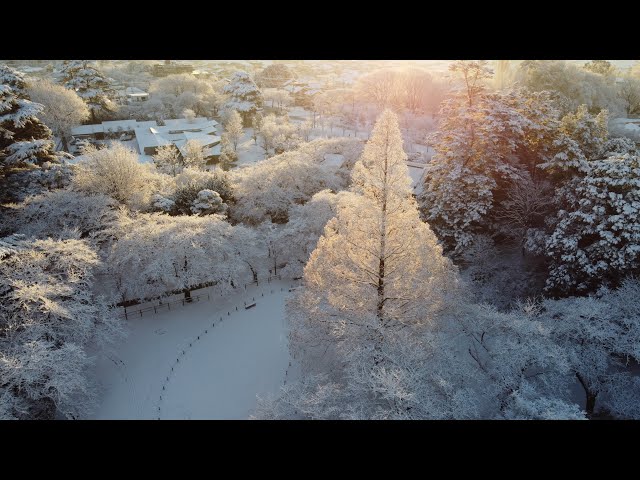 清水公園の雪景色2022年1月7日