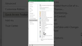 Camera Tool in Excel