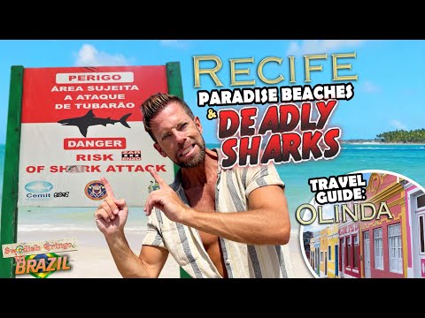 Recife: Paradise city – deadly shark attacks!🇧🇷| PERFECT WEEKEND TRAVEL GUIDE: beaches & safety