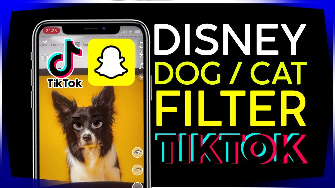 How to Create Disney Dog Filter Video for Tiktok disneycat disneydog