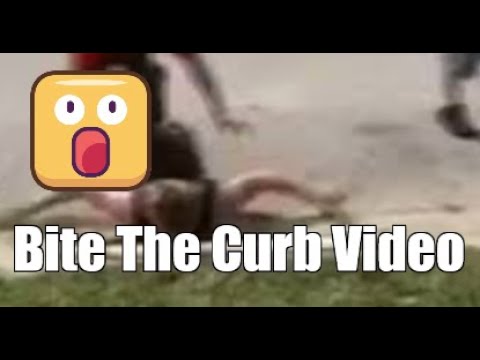 What is Bite the curb ,bite the curb video ,biting the curb video