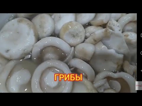 Как я чищу грибы, и почему они не горькие.