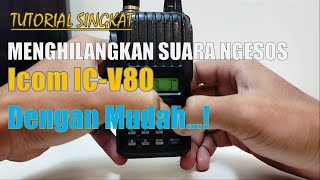 CARA MENGHILANGKAN SUARA NGESOS DI HT.ICOM V80 | tutorial singkat