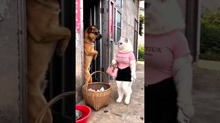 Dog Tera To Popat Ban Gaya