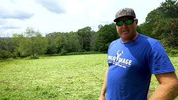 Planting Big N Beasty into Buckwheat.