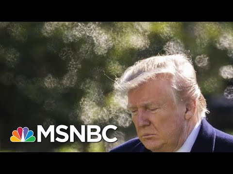 Country In Partisan Stalemate Over Impeachment | Morning Joe | MSNBC