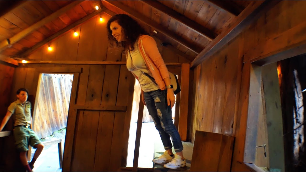 mystery spot santa cruz mystery spot santa cruz