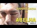 ABELHA AFRICANIZADA E O PODER DA FERROADA