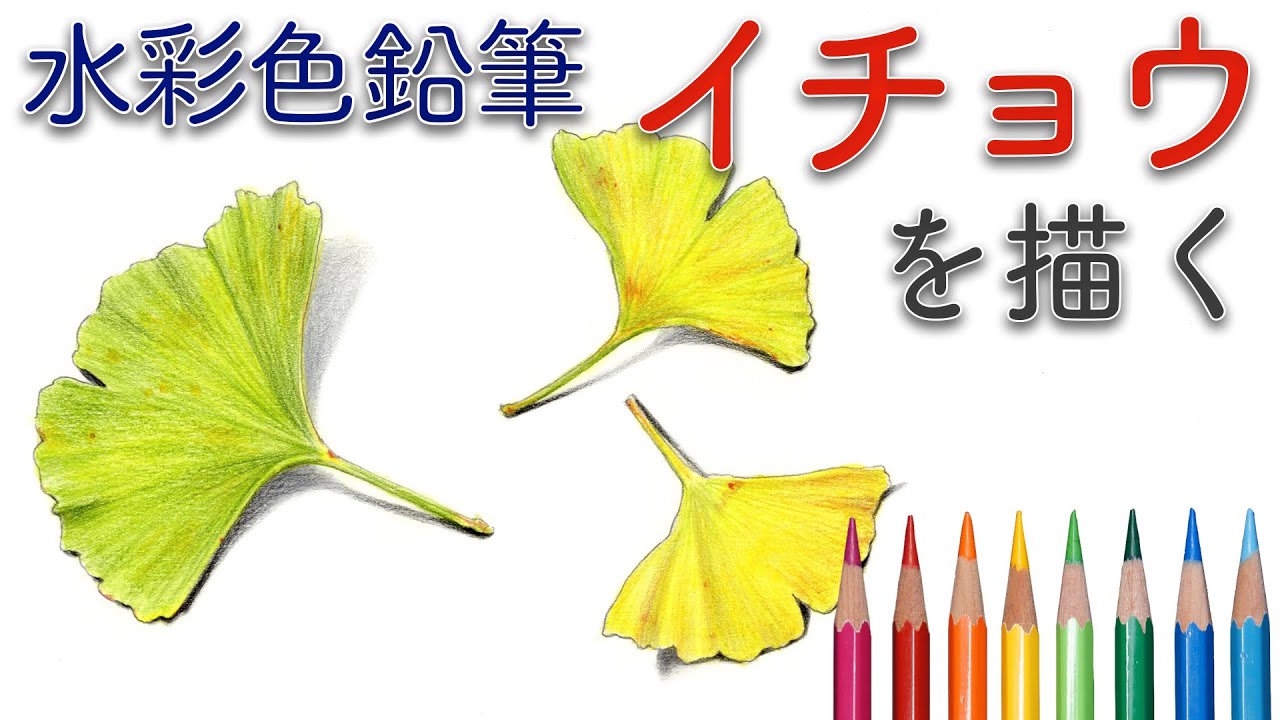 水彩色鉛筆 イチョウ 銀杏 の葉を描く Ginkgo Leaf Drawing With Watercolor Pencils Youtube