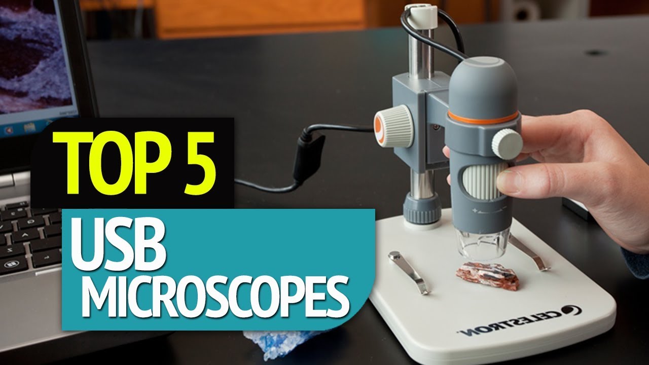 TOP 5: USB Microscopes 