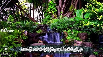 تلاوة نايف السالم || وَمِنْ آيَاتِهِ أَنَّكَ تَرَى الأَرْضَ خَاشِعَةً || HD