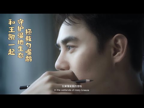 【王凯拯救勺嘴鹬全球守护大使】和王凱一起鹬见湿地，遇见幸福