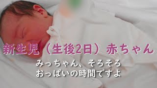 新生児（生後2日）赤ちゃん【みっちゃん、そろそろおっぱいの時間ですよ。起きてくださ～い。新生児は3時間おきのミルクですよ～】0歳0か月：癒しの赤ちゃんむにゃむにゃ寝顔