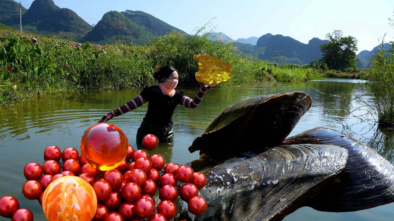 😱🎁The giant clams in this river harbor priceless red pearls, of high quality and splendor