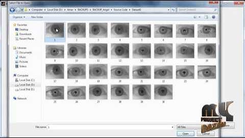 Final Year Projects 2015 | Face and eye detection for person authentication based
