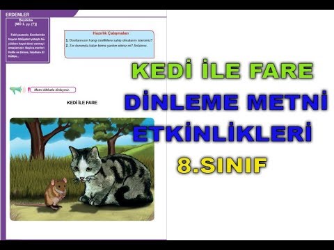 Kedi Ile Fare Dinleme Metni Cevaplari Youtube