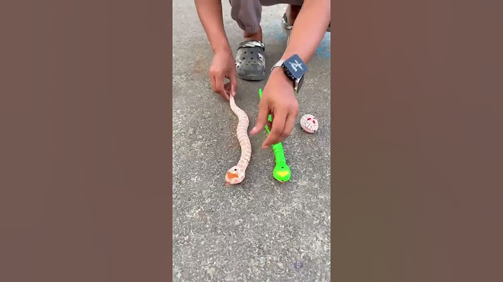 Amar new remote control snake 🐍