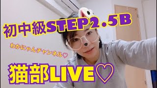 初中級STEP【猫部LIVE】