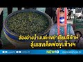 ส่องอ่างน้ำมนต์-เขย่าเซียมซียักษ์ ลุ้นเลขเด็ดพ่อขุนช้างฯ | NEW18