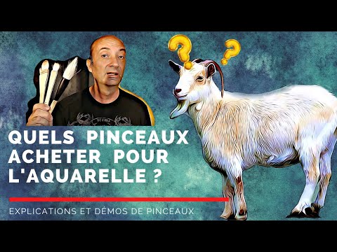 Vidéo: Comment Faire Des Pinceaux Colorés