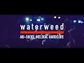 waterweed - Boring talk (Live Music Video)