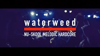 waterweed - Boring talk (Live Music Video)